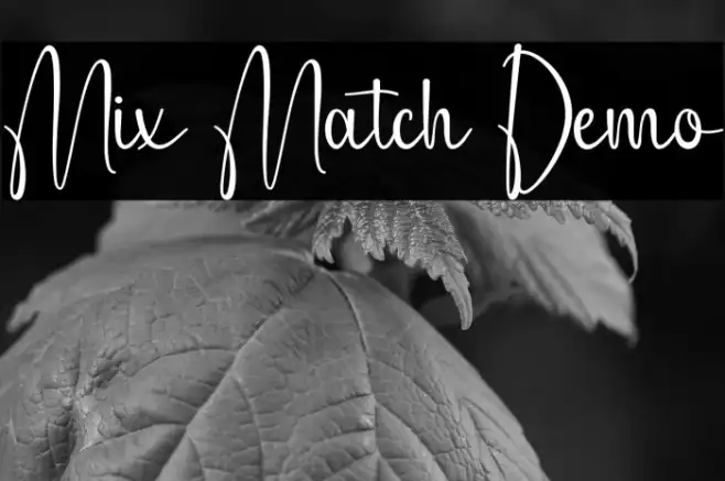 Mix Match Demo Example 3
