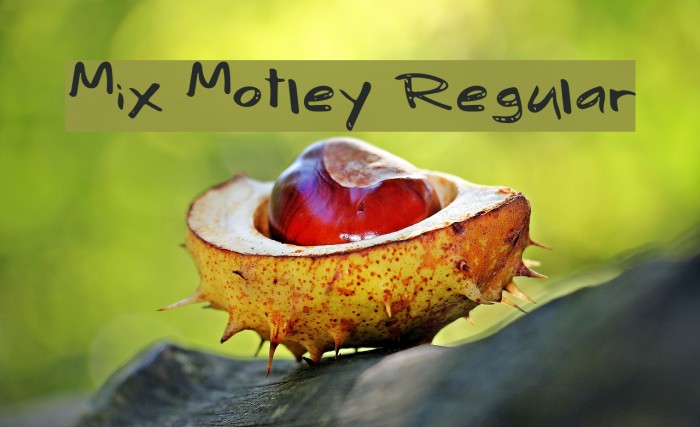 Mix Motley Regular Example 3