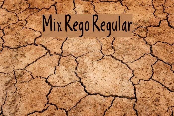 Mix Rego Regular Font examples