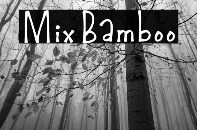 MixBamboo Example 1