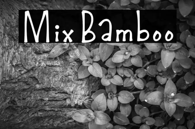 MixBamboo Example 2