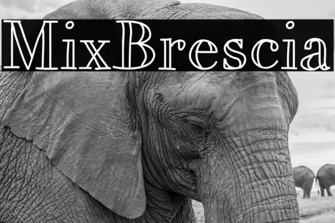 MixBrescia Example 2