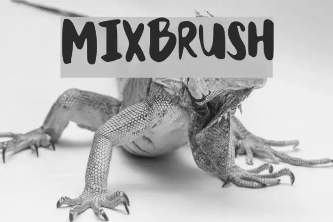MixBrush Font examples