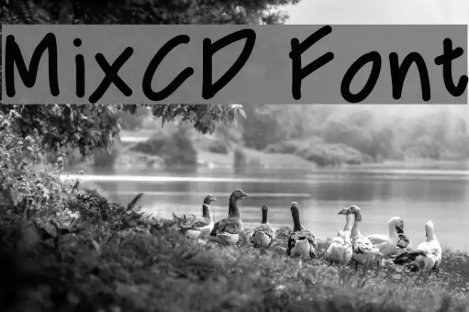 MixCD Example 2