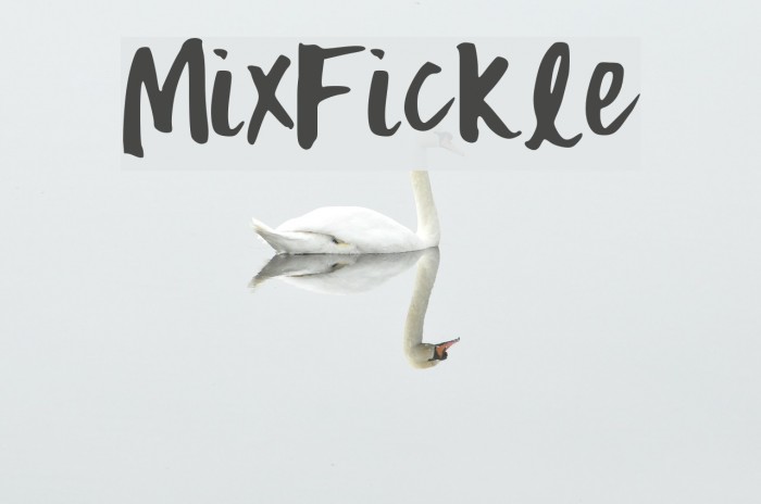 MixFickle Font examples
