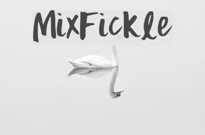 MixFickle Example 2
