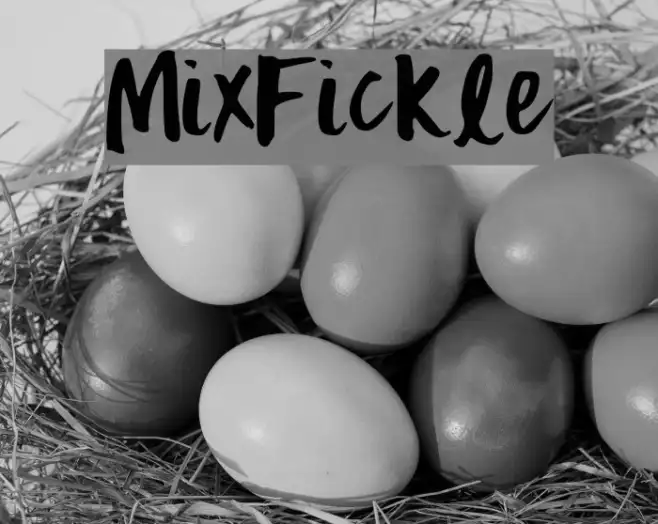 MixFickle Example 3