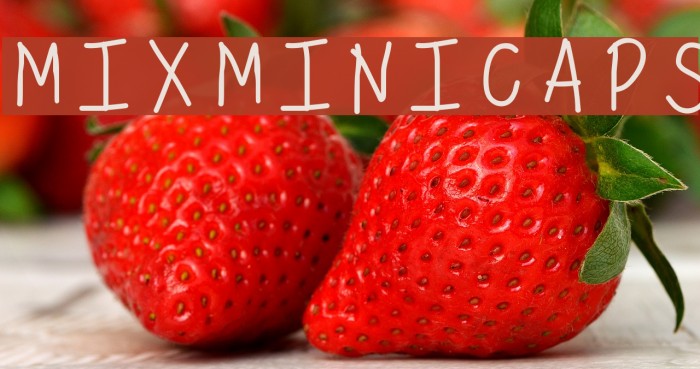 MixMiniCaps Font examples