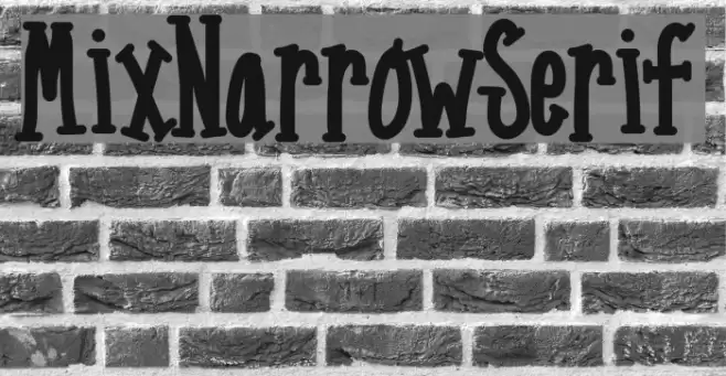 MixNarrowSerif Font examples