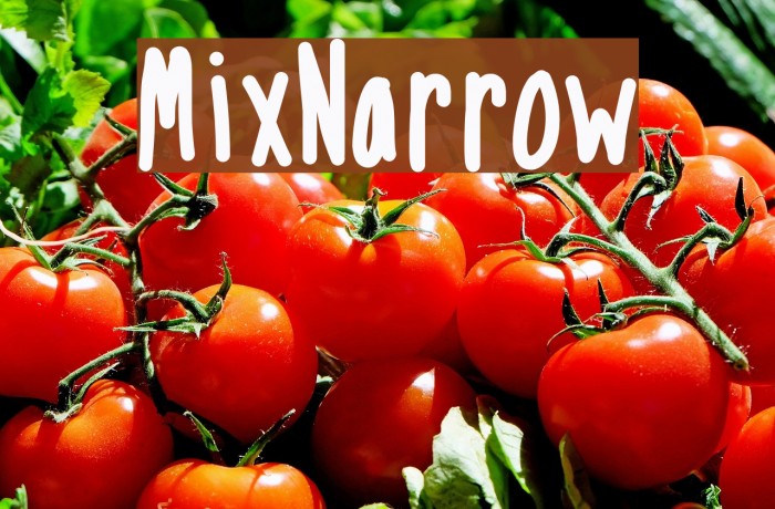 MixNarrow Font examples