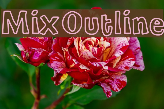 MixOutline Fonte examples