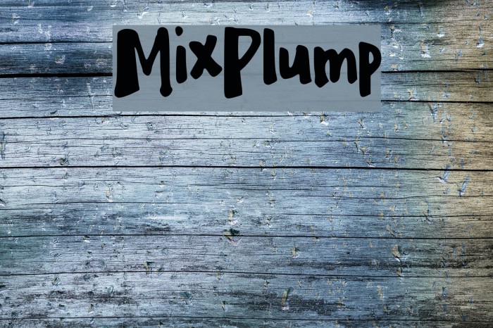 MixPlump Font examples