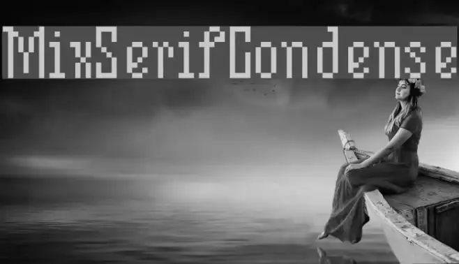 MixSerifCondense Example 2