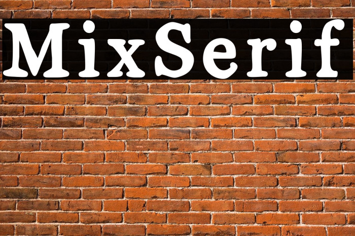 MixSerif Font examples