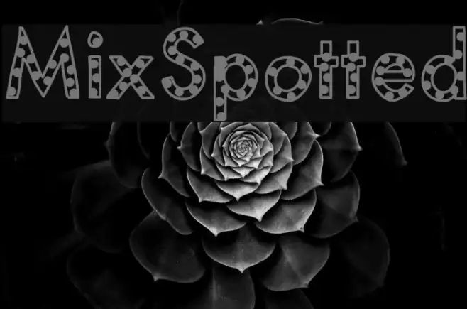 MixSpotted Example 2