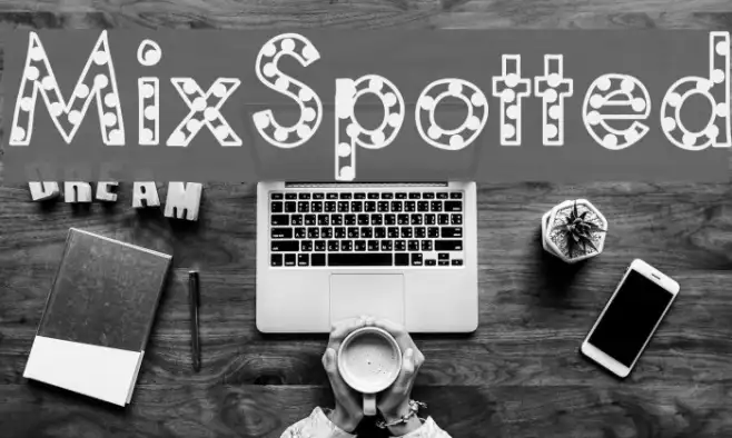 MixSpotted Example 3