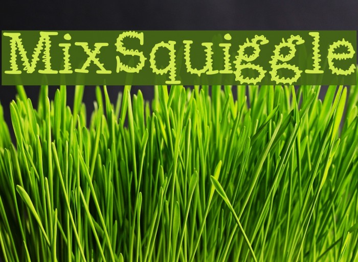 MixSquiggle Font examples