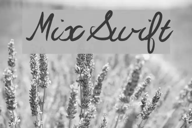 MixSwift Example 2