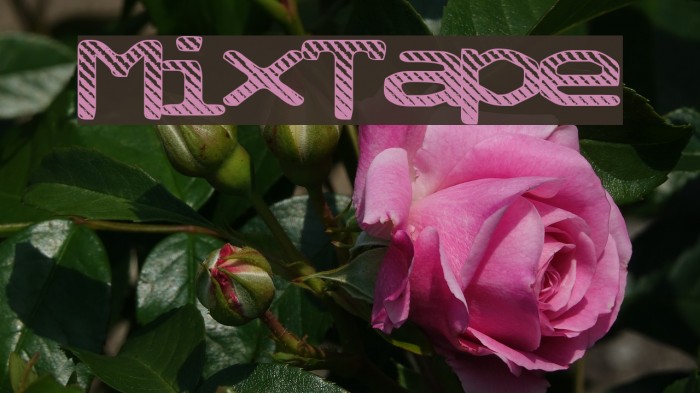 MixTape Font examples