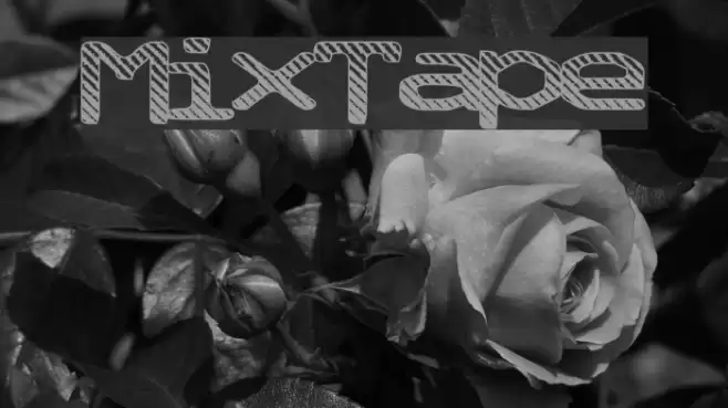 MixTape خط examples