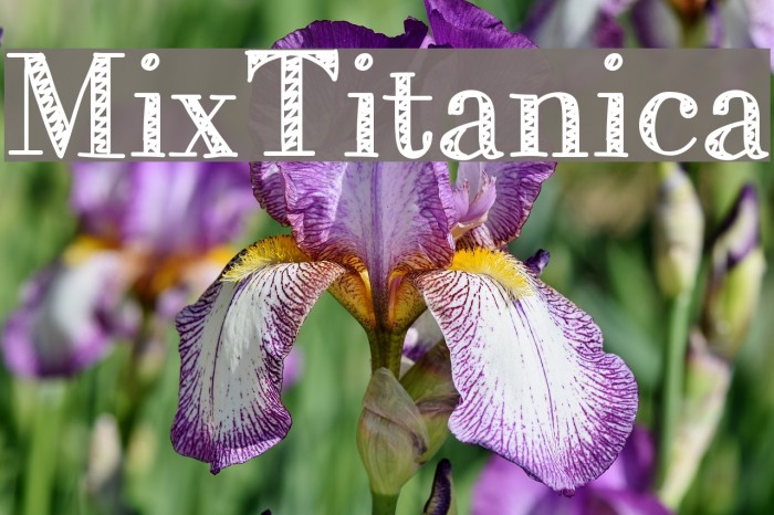 MixTitanica Font examples