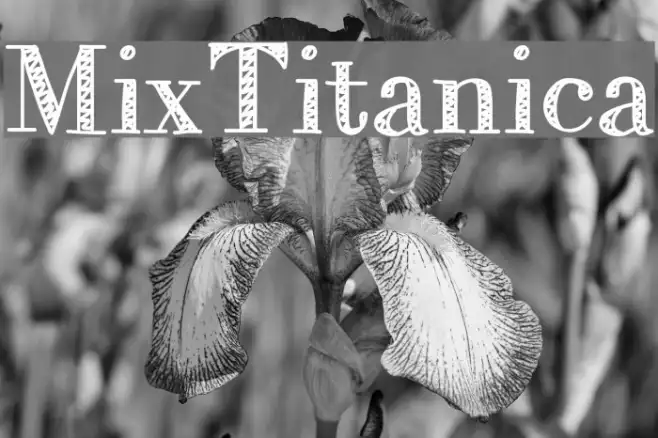 MixTitanica Example 2