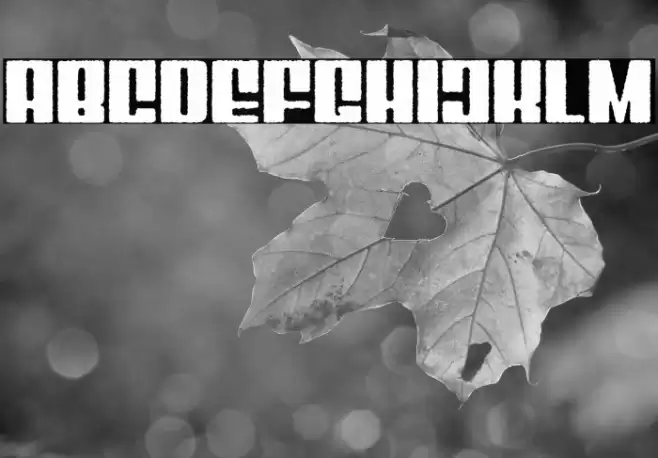 Mixbox Rough Demo Rough Font examples