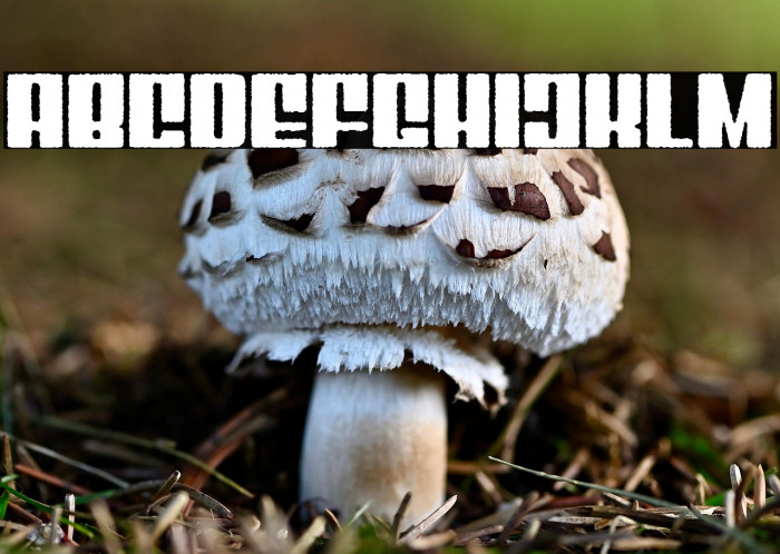 Mixbox Rough Demo Rough Example 2