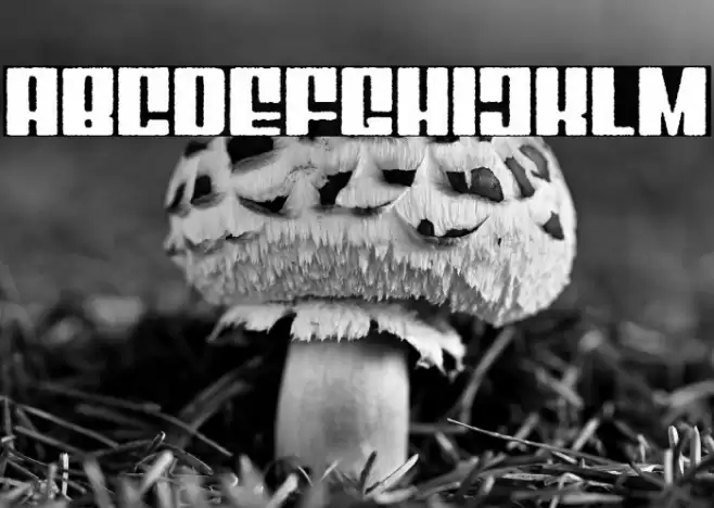 Mixbox Rough Demo Rough Font examples