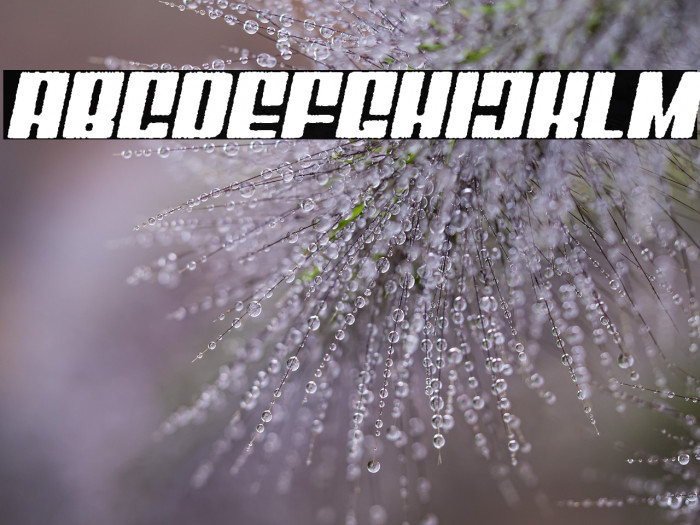 Mixbox Rough Italic Demo Rough Italic Example 1