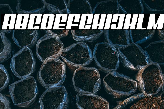 Mixbox Rough Italic Demo Rough Italic Example 2