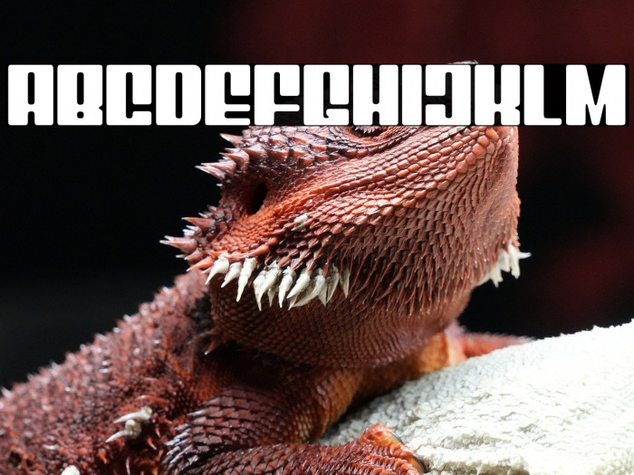 Mixbox Rounded Demo Rounded Example 2