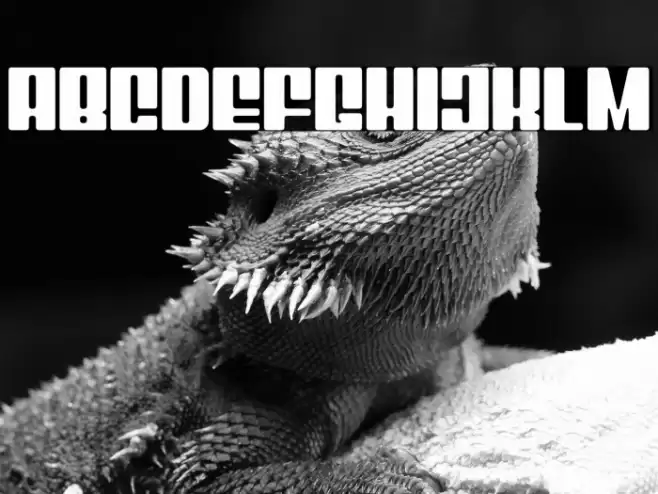 Mixbox Rounded Demo Rounded Font examples