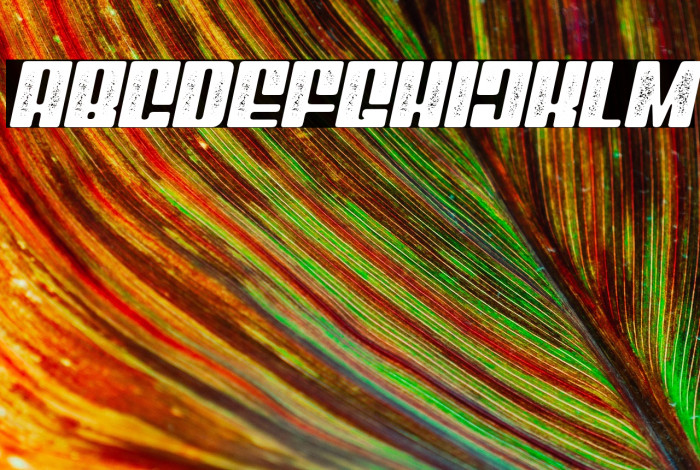 Mixbox Stamp Italic Demo Stamp Italic Example 2