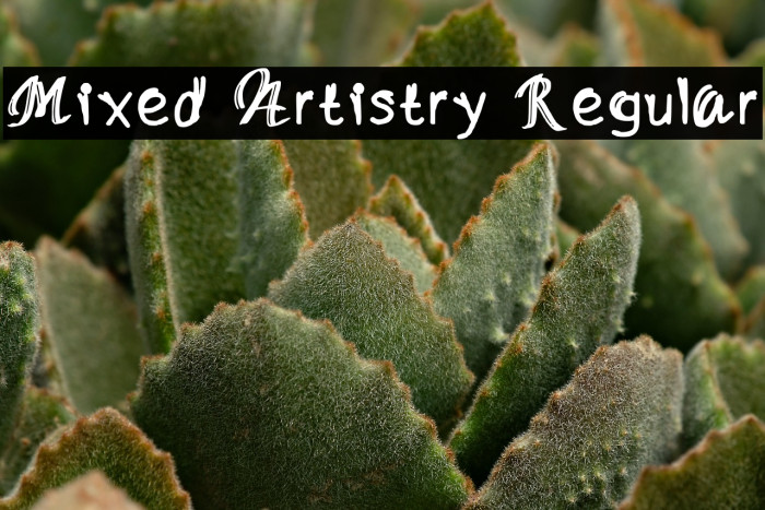 Mixed Artistry Regular Example 3