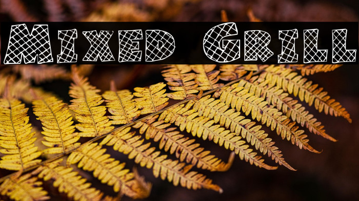 Mixed Grill Example 3