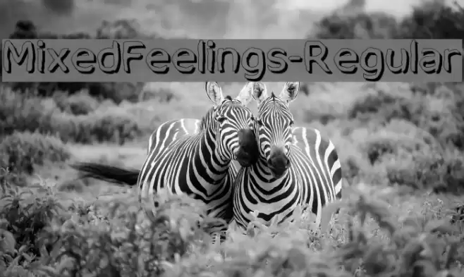 MixedFeelings-Regular Font examples