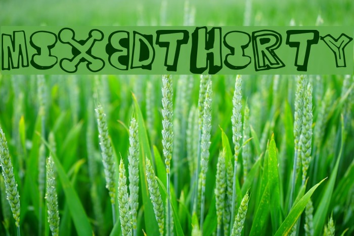 MixedThirty Font examples