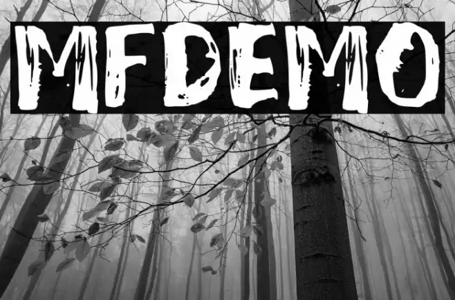 Mixed_Feeling_DEMO Font examples