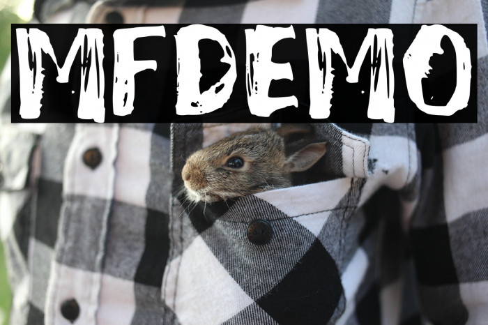 Mixed_Feeling_DEMO Example 3