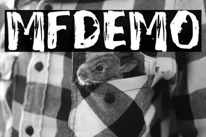 Mixed_Feeling_DEMO Font examples