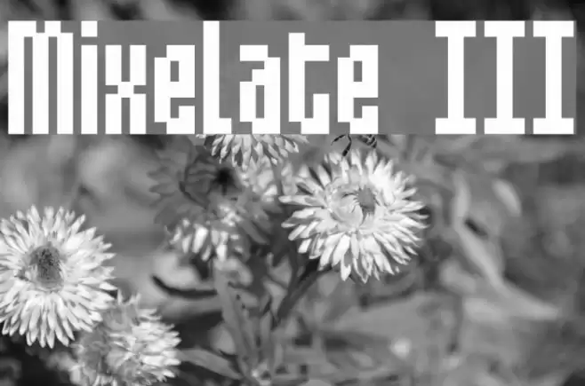 Mixelate III フォント examples