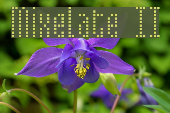 Mixelate II Font examples