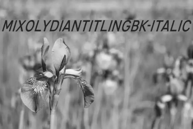 MixolydianTitlingBk-Italic Example 2
