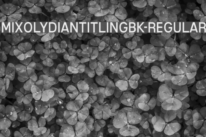 MixolydianTitlingBk-Regular Font examples