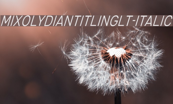 MixolydianTitlingLt-Italic Example 1