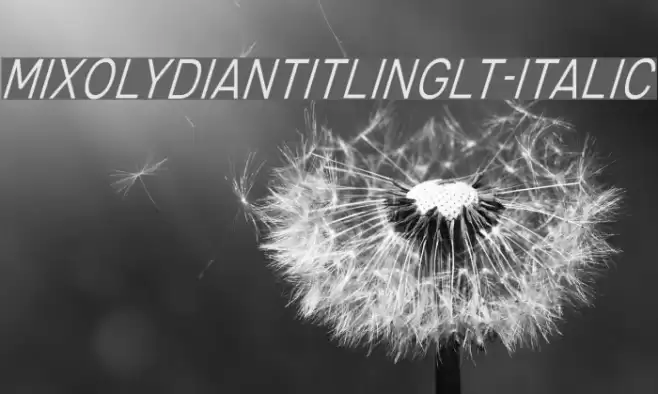 MixolydianTitlingLt-Italic Font examples