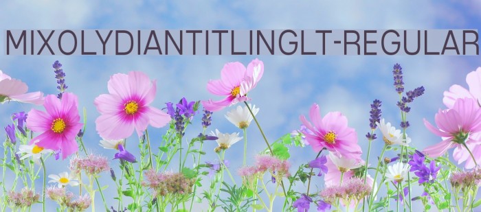 MixolydianTitlingLt-Regular Font examples
