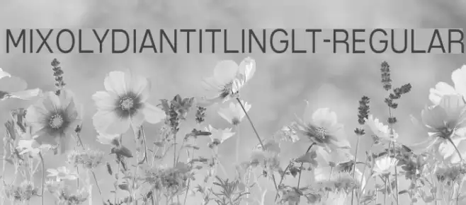 MixolydianTitlingLt-Regular Example 1