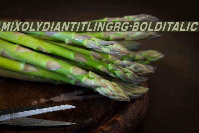 MixolydianTitlingRg-BoldItalic Example 1